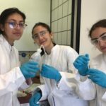 Այբ, «Կանաչ քիմիա» ակումբ