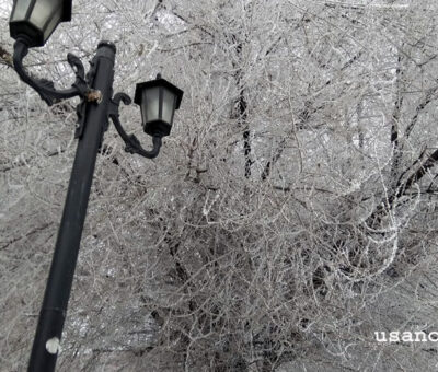 Ձմեռ. 6 հունվարի, 2021, Երեւան