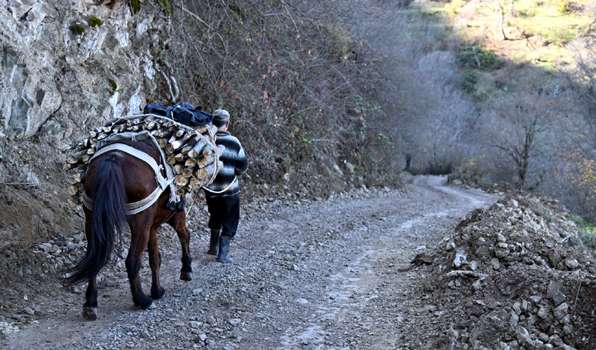 Ձիով փայտ տանող գյուղացի Սյունիքում