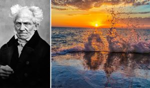 Արթուր Շոպենհաուեր