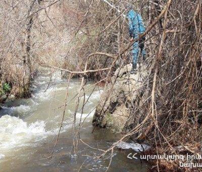 Գես Աճանան, Սյունիք