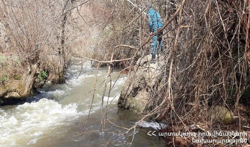 Գես Աճանան, Սյունիք