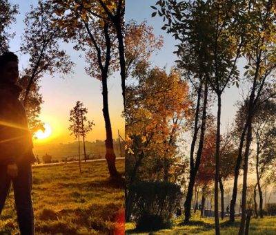 Անի Ռափյան, աշուն