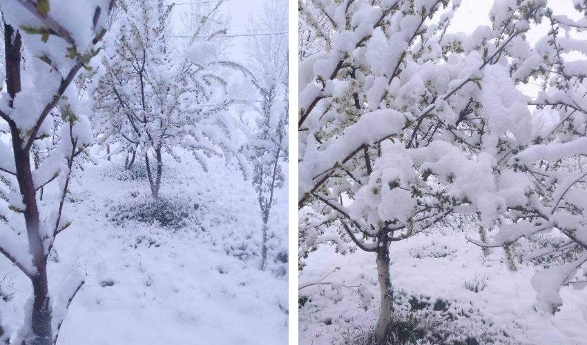 Մայիսի 14-ի գիշերը Հայաստանում ձյուն է եկել