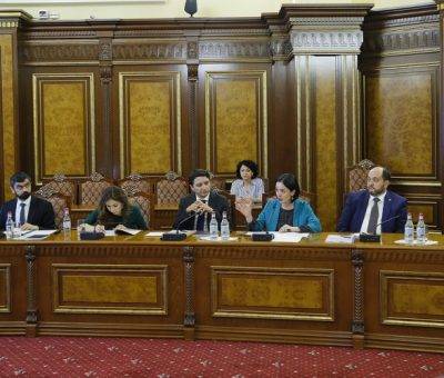 Քննարկում կառավարությունում