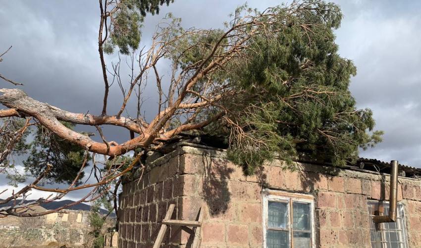 Վնասներ՝ քամու հետևանքով