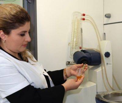 Անի Դադայան