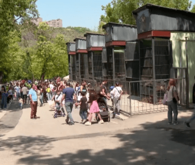 Երևանի կենդանաբանական այգի