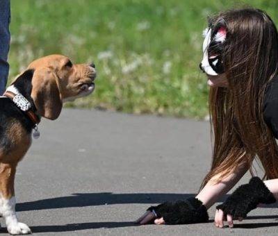 Քվադրոբերներ