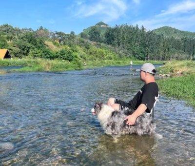 Չինացի ուսանող Գուանլի Սյուն