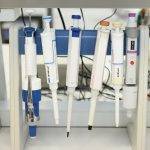 Ժաննա Անդրեասյանը շրջել է ԵՊՀ գիտահետազոտական և ուսումնական լաբորատորիաներում