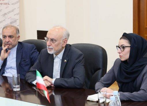 Ժաննա Անդրեասյանն ընդունել է ԻԻՀ «Իրանագիտության» հիմնադրամի ղեկավար Ալի Աքբար Սալեհի գլխավորած պատվիրակությանը։