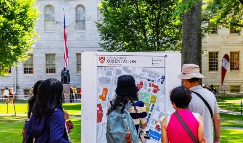 Հարվարդի համալսարան