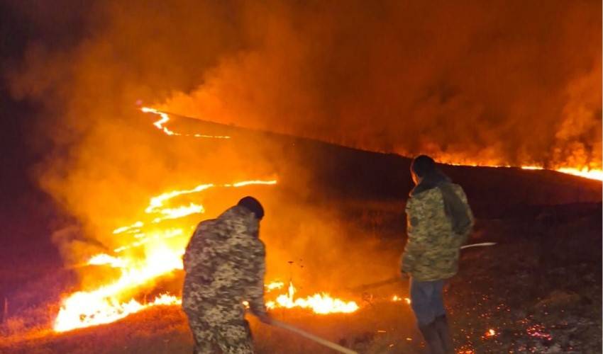 Հրդեհ Տավուշի մարզում