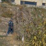 Որոնումներ Ծափաթաղում