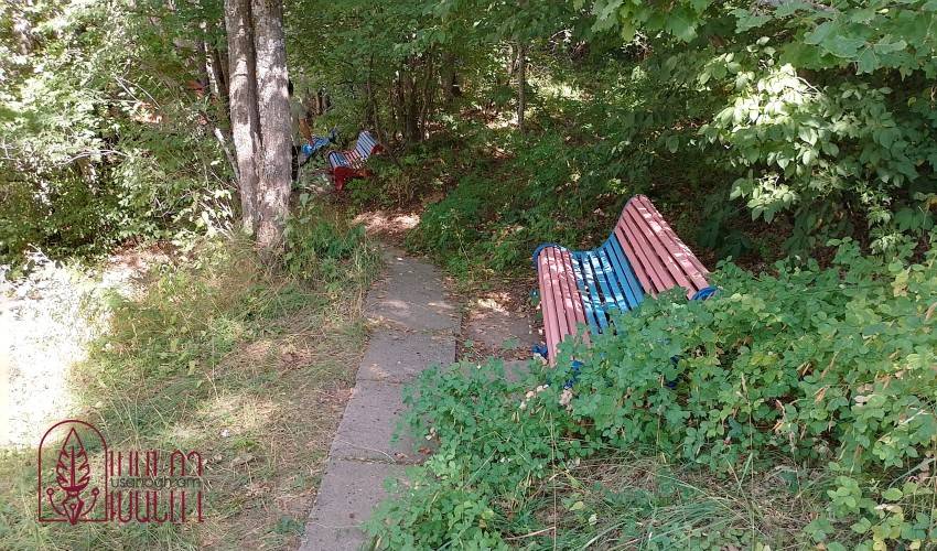 Նստարան անտառում