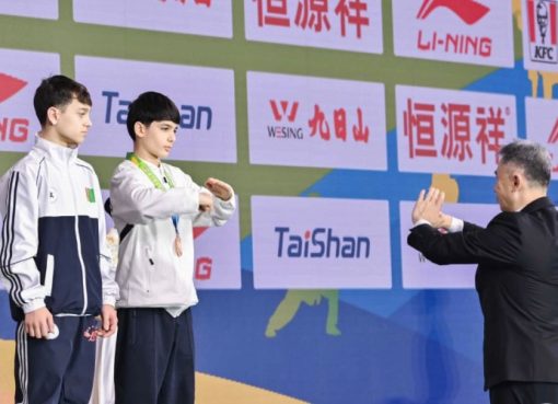 1 արծաթե և 3 բրոնզե մեդալ՝ Ուշուի երիտասարդների աշխարհի 10-րդ առաջնությունում