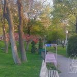 Երեւանի Սիրահարների այգին