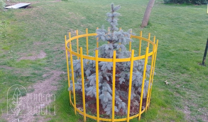 Երեւանի Սիրահարների այգին