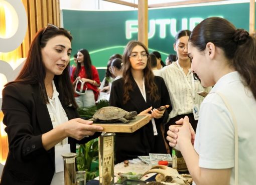 16 բուհ՝ մեկ հարթակում. Հայաստանի բուհերի կենսաբազմազանության կոալիցիան՝ COP17-ում